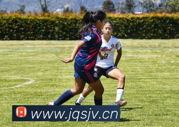 多媒体互动体验